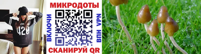 Псилоцибиновые грибы ЛСД  MEGA зеркало  Чухлома 