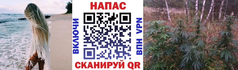 магазин    Чухлома  МАРИХУАНА сатива 